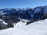 Discesa Ifoly-Abfahrt