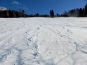 Pendio freeride tra la seggiovia Kapellenlift e la seggiovia Scheuermattlift