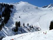 Area freeride al Zweitausender