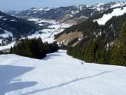 Discesa Kreuzle dal Riedberger Horn