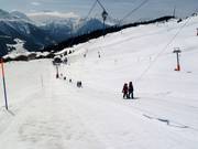 Trainer - Skilift con T-bar/ancora