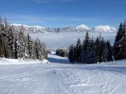 Discesa FIS sul Hauser Kaibling