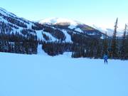 Pista intermedia Eagle Flight