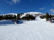 Discesa facile e ampia per famiglie