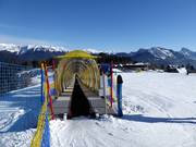 Tappeto Lausc nella valle provenendo da Sutrio