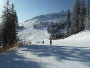 Pista per famiglie con vista sulla cima dell'Arber