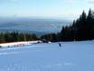 Offerta di piste North Shore Mountains – Offerta di piste Grouse Mountain