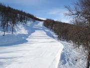 Pista Kamelpukkelen n. 7