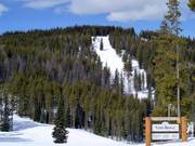 Vista sulle piste Allover e Allover Glades