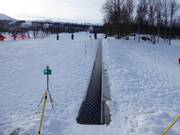 Krokskogen - Tapis roulant/Tappeto Magico