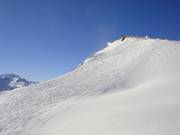 Pendii di neve fresca allo Schindlergrat