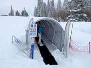 Magic Carpet 3 - Tapis roulant/Tappeto Magico con galleria