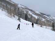 Pista facile presso la seggiovia Crescent Express