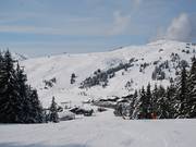 Pista Sapins a Les Saisies