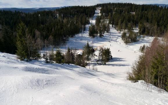 Comprensori sciistici per sciatori esperti e freeriding Oslo – Sciatori esperti, freerider Oslo – Tryvann (Skimore)