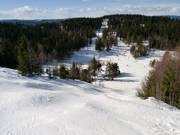 Pista di gobbe nell'Oslo Vinterpark