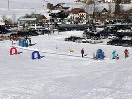 Zauberteppich Bärencamp