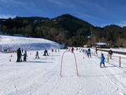 Suggerimento per i più piccoli 