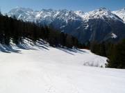 Discesa a valle Hannigalp-Grächen