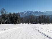 Pista facile dallo Zauberlift al Bergkristalllift