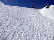 Tanto spazio libero per sciare