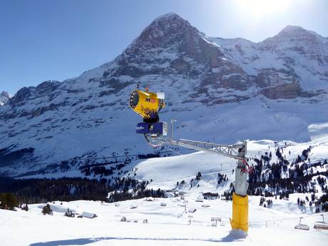 Sicurezza neve Jungfrau Region – Sicurezza neve Kleine Scheidegg/Männlichen - Grindelwald/Wengen
