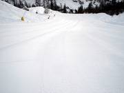 Pista Delle Marmotte