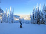 Discesa Mid Life Crisis al Mt. Morrrisey