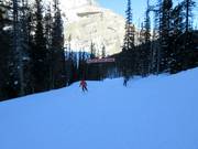 Facile discesa a valle Banff Avenue