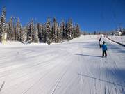 Pista di esercitazione molto facile presso il Village Platter