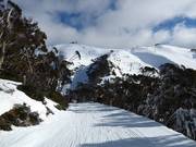Pista Gully Catwalk