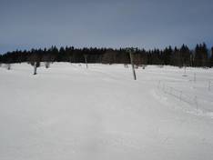 Immagini Philippsreut