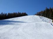 Pista Fondo Piccolo 4 Nr. 15