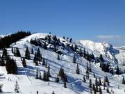 Terreno variabile nella zona di vetta della Planai