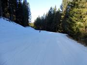 Pista facile Fratelle