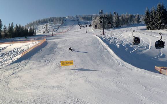 Offerta di piste Zwieseler Winkel – Offerta di piste Arber