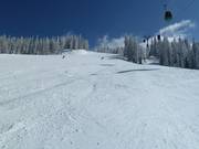 Discesa al Flying Mozart