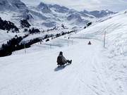 Suggerimento per i più piccoli 