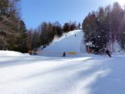 Discesa difficile nel bosco Berter