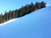 La Kandahar è ripida