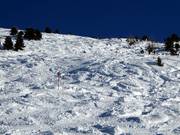 Itinerario sciistico Narrenkopf