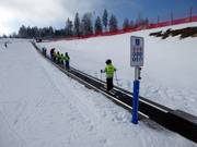 Tappeto magico 126 m ArBär-Kinderland