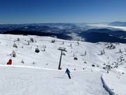 Discesa Freeride Finsterbach