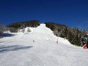 Discesa Schütt (discesa a valle Schüttdorf)