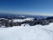 Pista n. 12a Gobelja relej