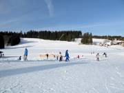 Terreno ideale per famiglie