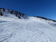 Attraente pista al Cogulla