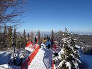 Piattaforma panoramica Almschaukel a 1315 m