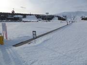 Starttimatto - Tapis roulant/Tappeto Magico