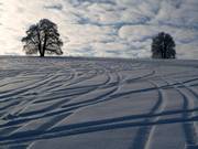 Con molta neve ci sono discese in neve fresca